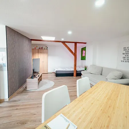 Altbau Zum Wohlfuehlen Apartment